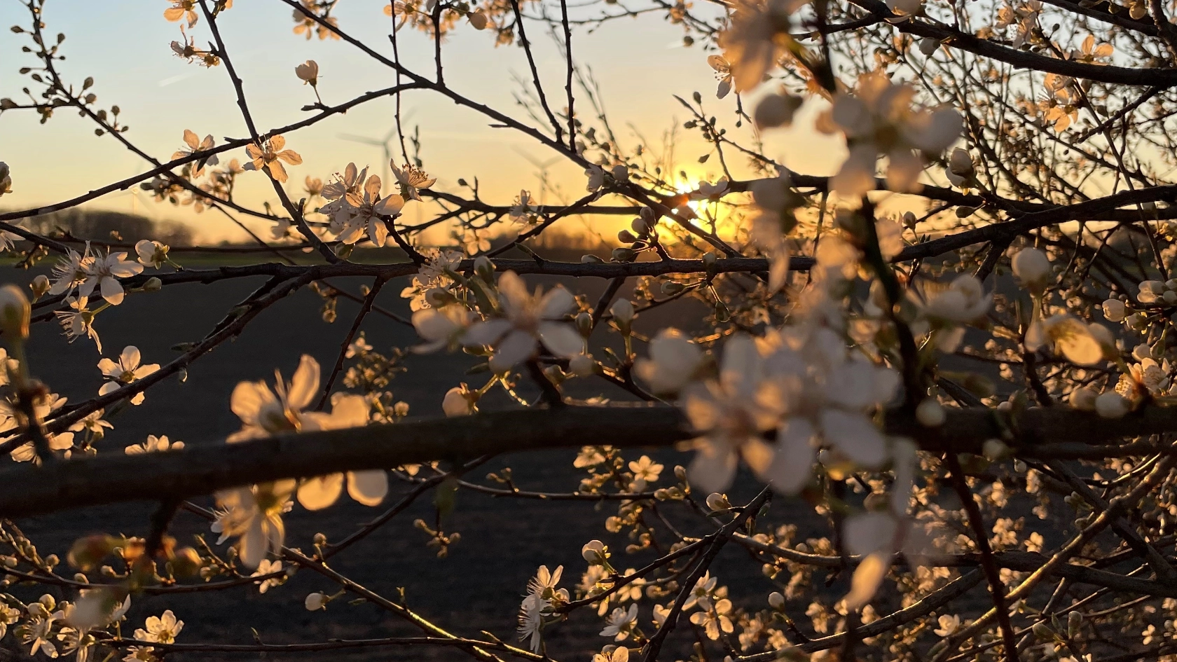 Frühling-Ostern 2025